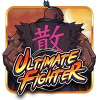 ULTIMATE FIGHTER